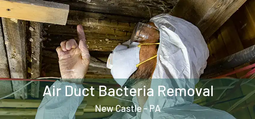 Air Duct Bacteria Removal New Castle - PA