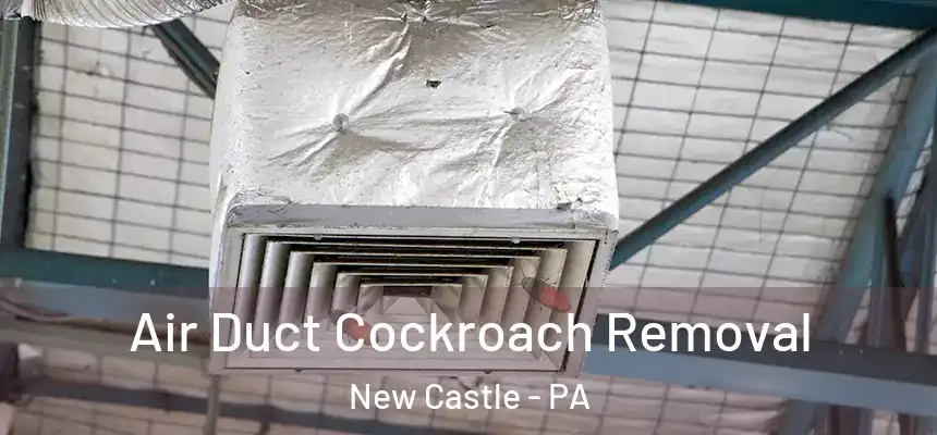  Air Duct Cockroach Removal New Castle - PA