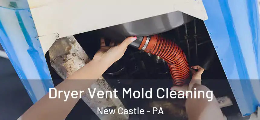 Dryer Vent Mold Cleaning New Castle - PA