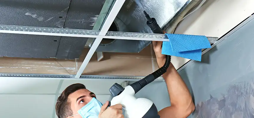 Our Air Duct Rodent Removal Services in New Castle, PA