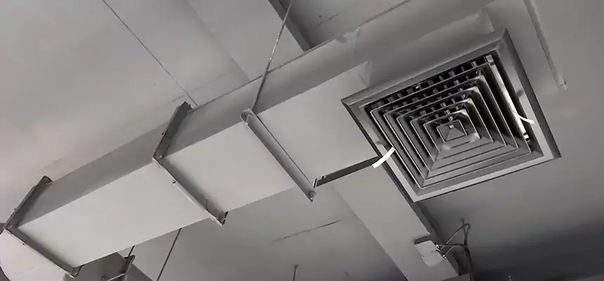 Our Pest Removal From Ducts Services in New Castle, PA