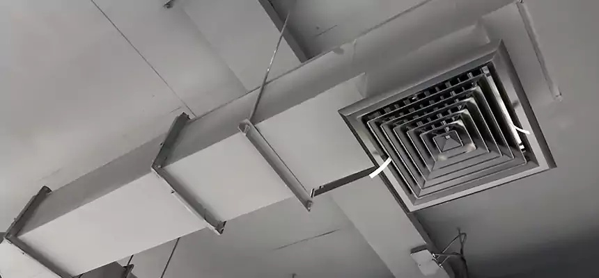 Our Rodent Droppings In Vents Services in New Castle, PA