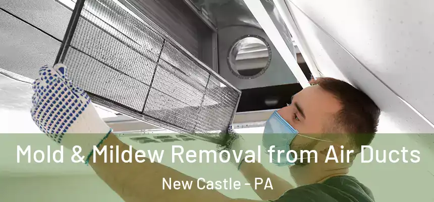  Mold & Mildew Removal from Air Ducts New Castle - PA
