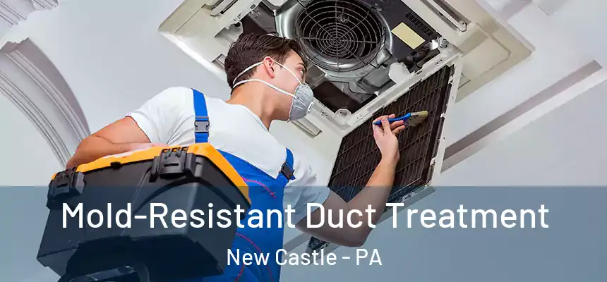  Mold-Resistant Duct Treatment New Castle - PA