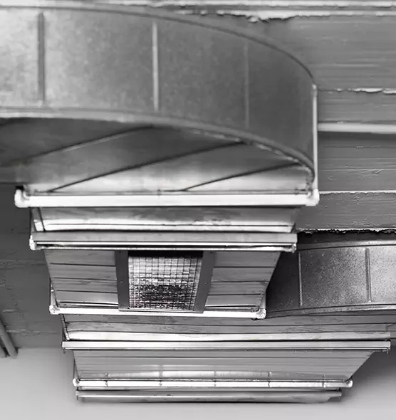 Professional Air Duct Pest Removal in New Castle, PA