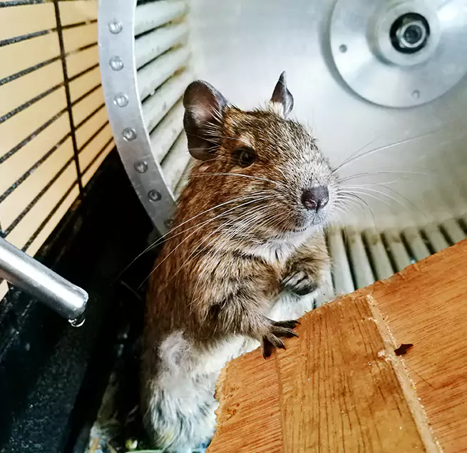 Why Homeowners & Businesses Trust Us New Castle, PA?